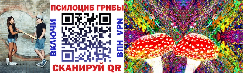 Галлюциногенные грибы Cubensis  наркота  KRAKEN зеркало  Чапаевск 